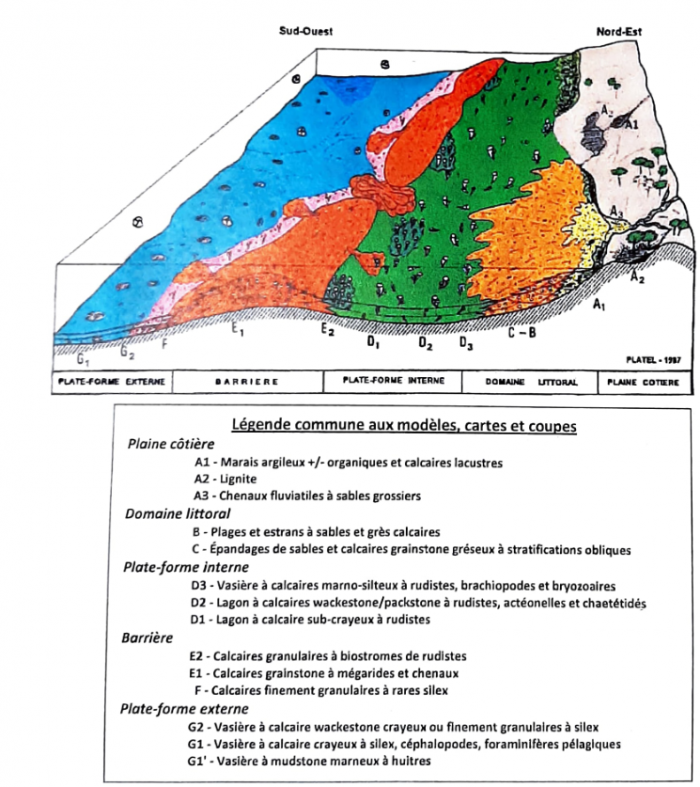 Bloc diagramme retraçant les paléoenvironnements (©Platel)