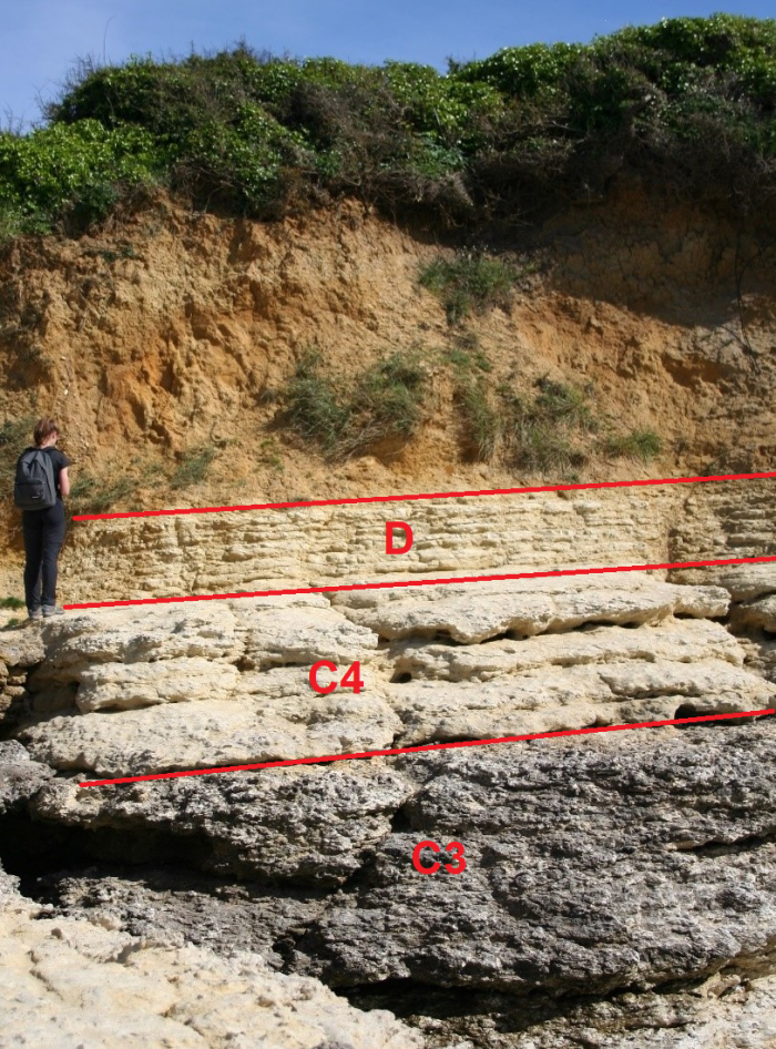 Affleurement des différents niveaux de calcaires du Cénomanien moyen (©BRGM,2023)